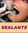 Sealants
